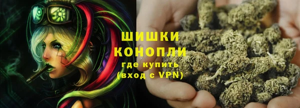 бошки Алексин